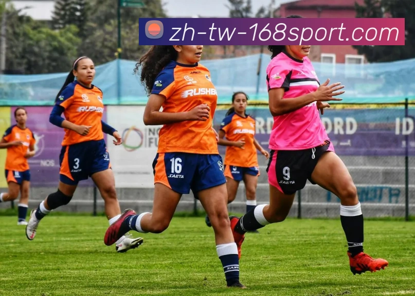 168体育官网APP 封面图